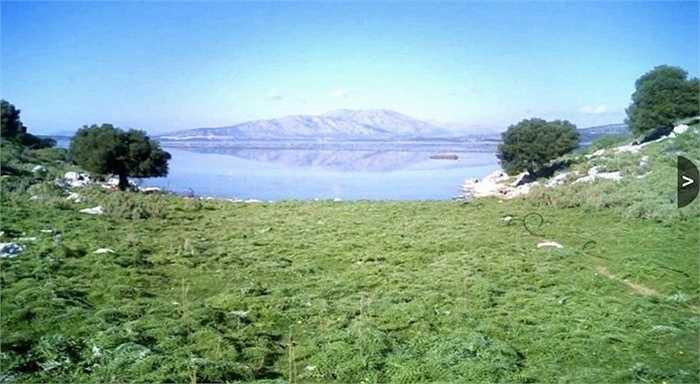 Đảo Dulichium - 44,1 triệu USD. Đây là hòn đảo tư nhân lớn nhất ở Hy Lạp đang được rao bán. Trên đảo có trồng cây ô liu. Chỗ cao nhất trên đảo 250m so với mực nước biển 