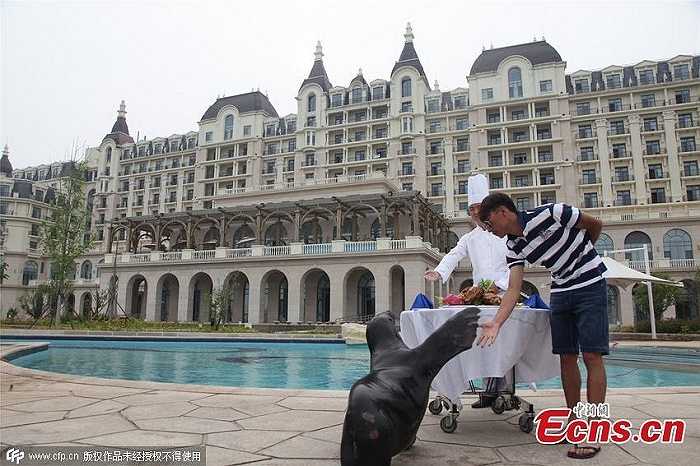 Thiếu gia và con hải cẩu cưng đang vui đùa bên bể bơi ngoài trời của một khách sạn cao cấp ở thành phố Thanh Đảo, tỉnh Sơn Đông, Trung Quốc. 