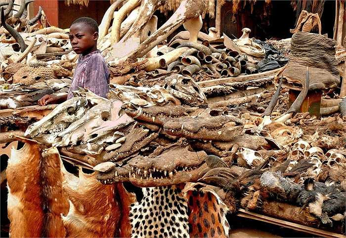 Không chỉ có vậy, cả thế giới lúc bấy giờ phải hoài nghi trước thân hình thiếu nữ của người đàn bà hơn 80 tuổi. Bà có làn da căng mọng, thân hình xuân sắc căng tràn…