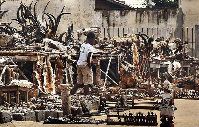 Khu chợ này là đầu mối tiêu thụ sản phẩm của các thợ săn trong vùng và là mối nguy của nhiều động vật quý hiếm.