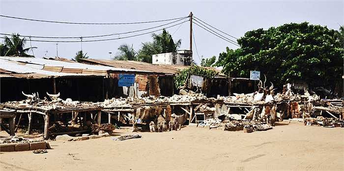 Tục bùa phép Voodoo được cho là ra đời từ thế kỷ XIX, khi người da đen còn nằm dưới sự bóc lột, kìm kẹp của người da trắng. Khi đó, người đàn bà có tên Marie Laveau lại sống an nhàn sung túc và được mọi người tôn kính.