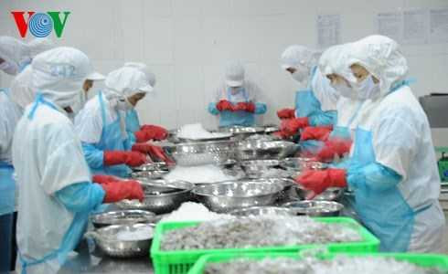 Hoa Kỳ là thị trường nhập khẩu hàng đầu của thủy sản Việt Nam