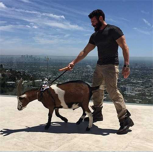 Khác người hơn cả là anh còn nuôi hai chú dê và coi đó là hai người bạn thân thiết nhất của mình.