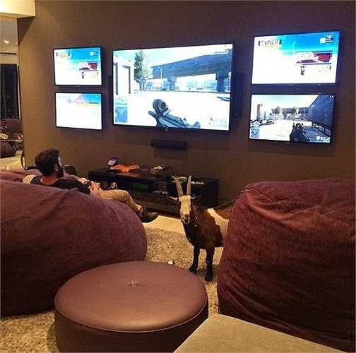 Những lúc rảnh rỗi không rượu không gái đẹp, Dan lại chìm vào những trận game trong ngôi biệt thự đẳng cấp của mình.