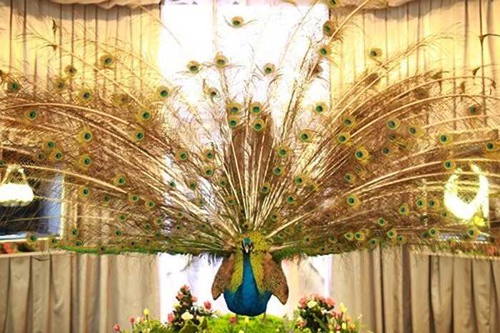 Một góc được trang hoàng lộng lẫy của cửa hàng.