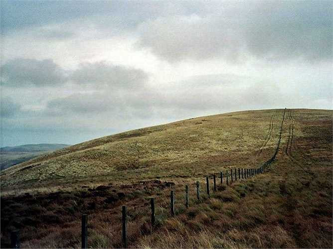 Hàng rào biên giới giữa England và Scotland