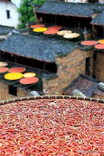 Ớt là gia vị được sử dụng rất phổ biến trong ẩm thực Trung Quốc