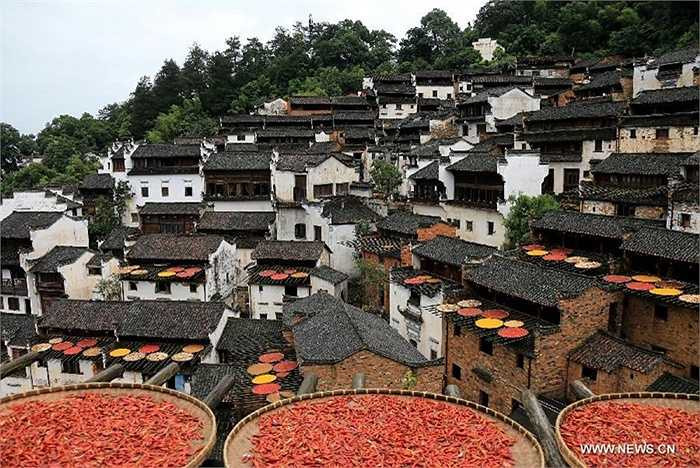 Những nong ớt đầy màu sắc được phơi trong làng