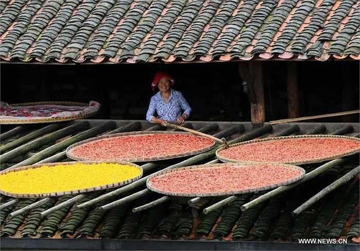 Vừa phơi, người dân phải thường xuyên đảo, trở đồ phơi