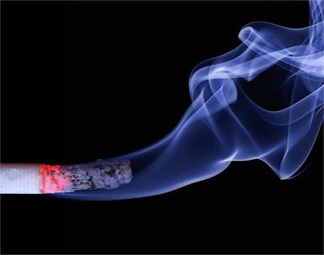 Hút thuốc có liên quan đến bệnh xơ vữa động mạch. Việc thu hẹp và xơ cứng mạch máu ảnh hưởng đến việc cung cấp máu cho tất cả các cơ quan quan trọng, bao gồm cả thận. Theo nghiên cứu này, hai điếu thuốc mỗi ngày là đủ để tăng gấp đôi lượng tế bào nội mô trong máu, là hiện tượng tổn thương động mạch. 