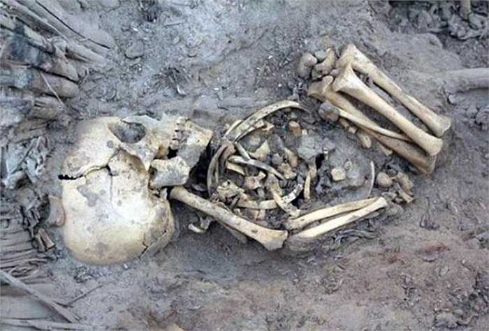 Cũng có suy đoán cho rằng có thể đây là kết quả nhiều mối tình vụng trộm của đầy tớ trong gia tộc nào đó. Tuy nhiên đây chỉ là những suy đoán không có bằng chứng khoa học.