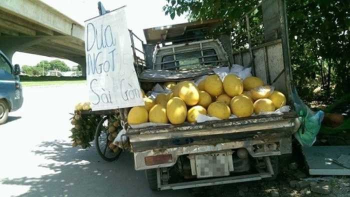 ào mùa hè, các loại dưa được bán nhiều, trong đó có dưa lưới vàng rất được yêu thích nhờ vị ngọt mát. Tuy nhiên, nhiều loại dưa trên thị trường có xuất xứ Trung Quốc lại được gắn mác dưa Sài Gòn hoặc dưa Nhật, New Zealand khiến khách hàng khó khăn trong việc chọn mua.