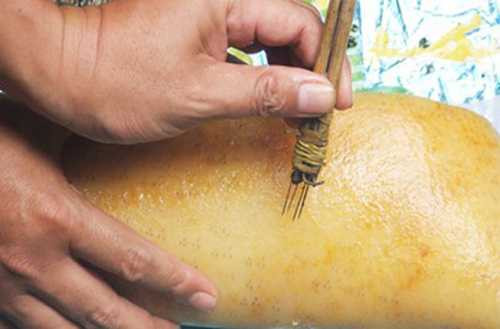 Dùng kim bắn lông 3 chấu cho giống thịt lợn rừng thật. (Ảnh minh họa).