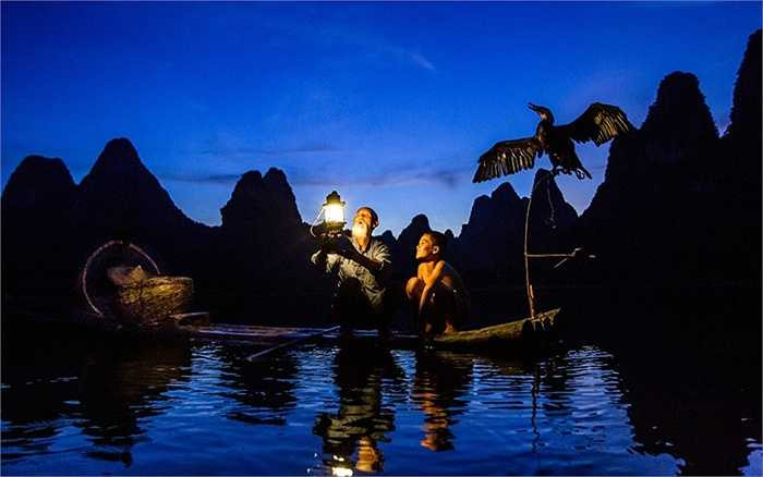 Những chuyến đánh cá đêm, ngư dân dùng đèn và chim cốc để dụ cá