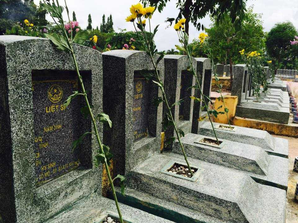 ‘Những người lính không về từ chiến trường đẫm máu, hóa đàn sếu trắng bay cao’