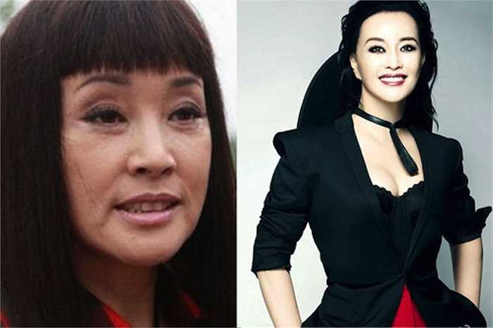 Có không ít người đẹp Hoa ngữ được phong tặng cho danh hiệu 'Mỹ nhân không tuổi'. Danh hiệu này dành cho những người có nhan sắc trẻ trung hơn nhiều so với tuổi thật hay nói cách khác là thời gian phải ngả mũ trước vẻ đẹp của họ.