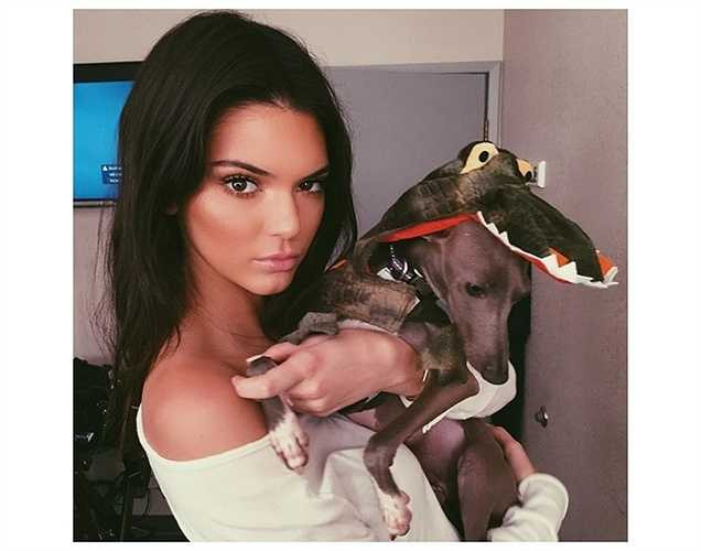 Siêu mẫu Kendal Jenner mặc áo cá sấu cho chú cún.