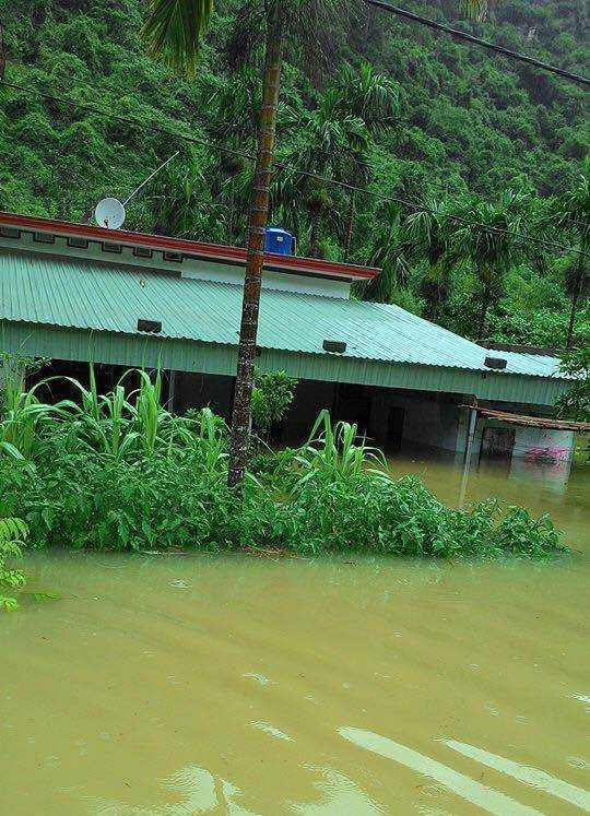 Mưa lớn đang nhấn chìm một xã đảo ở Hải Phòng
