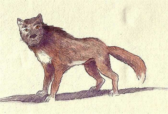 Quá lo lắng cho sinh mạng của những người dân nơi đây, vua Louis tiếp tục cử nhiều binh lính và một người nông dân bản địa có tên là Jean Chastel cùng tham gia vào việc săn lùng, hạ ngục nó.