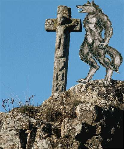 Ông này đã quả quyết rằng sẽ hạ con thú và sự thật cũng chính ông này đã bắn hạ được nó.