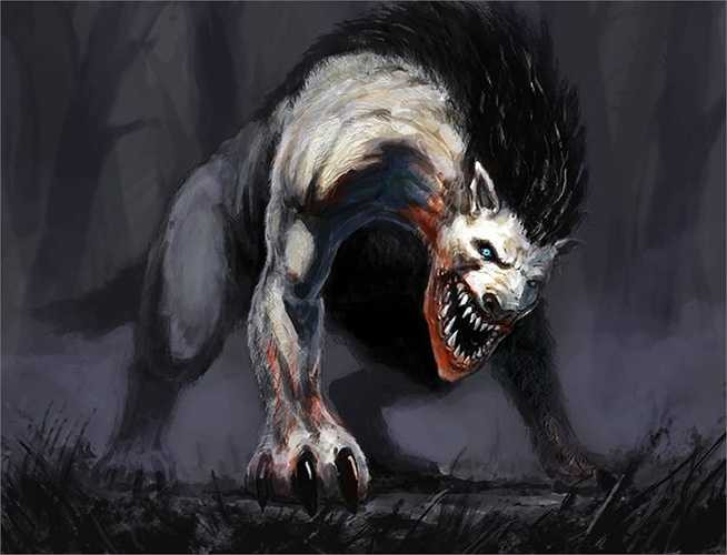 Người dân thời đó cho rằng chúng còn kinh khủng hơn cả loài sói, chúng là ma quỷ siêu nhiên chuyên săn người. 