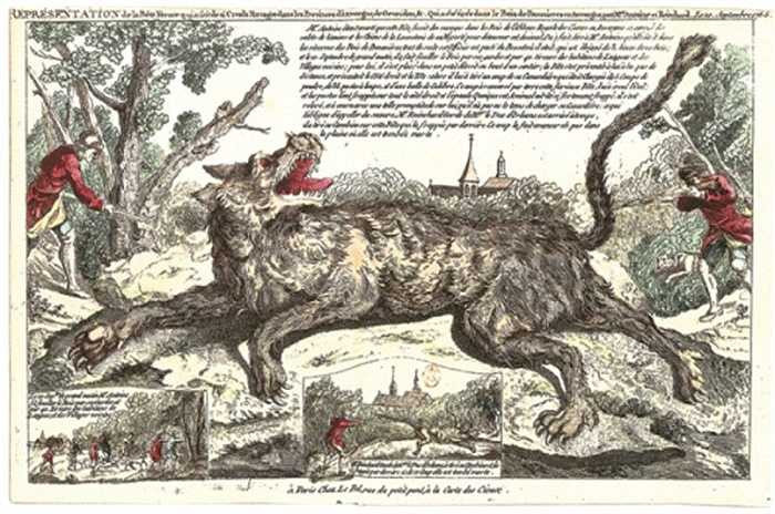 Khi bắt gặp con người cùng một bầy cừu, quái thú Gauvedan chỉ lao tới tấn công con người đến chết và ăn thịt tại chỗ.