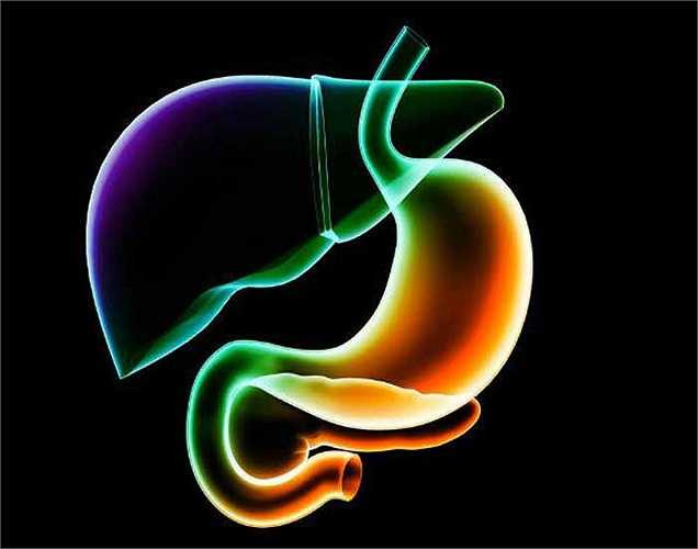 Gan nhiễm mỡ: Chế độ ăn uống không lành mạnh có thể ảnh hưởng đến gan dưới dạng của bệnh gan nhiễm mỡ. Vì vậy nên ăn thực phẩm lành mạnh và ngủ đủ giấc thì sẽ tốt cho gan.