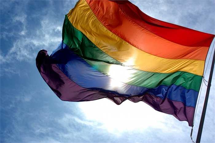Slovenia. Một trong những tín hiệu khả quan nhất với giới LBGT tại Slovenia là Chính phủ của họ đã lên tiếng xác nhận sẽ đồng ý với một số điều khoản trong dự thảo Luật hôn nhân đồng giới hồi cuối năm ngoái. Tuy nhiên, đến giờ, họ vẫn phải chờ thông tin tiếp theo