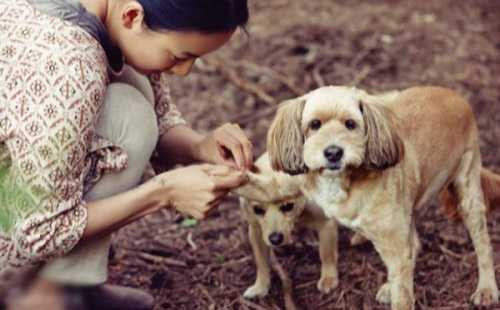 Lee Hyori hạnh phúc bên chồng, Hyun Joong từng muốn tự tử