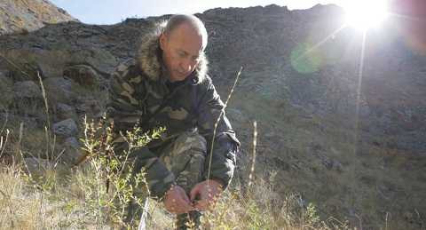 Tổng thống Nga Putin Tổng thống Nga Putin