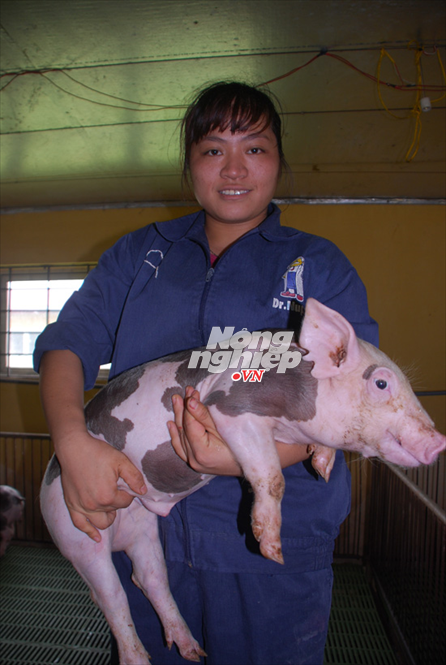 Lợn cười lúc còn nhỏ