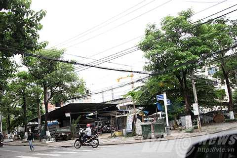 đất vàng, con gái Bí thư, Đà Nẵng, Thành ủy, Trần Thọ