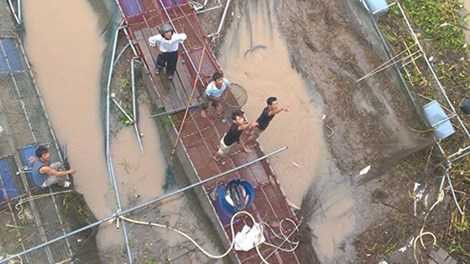 Người dân ra sức cứu các lồng cá trong mưa Người dân ra sức cứu các lồng cá trong mưa