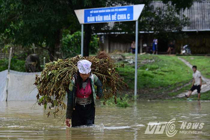 Hơn 35 nhân khẩu sống tại đây là người dân tộc Mông làm nghề trồng ngô, đỗ tương tại các quả đồi quanh bản.