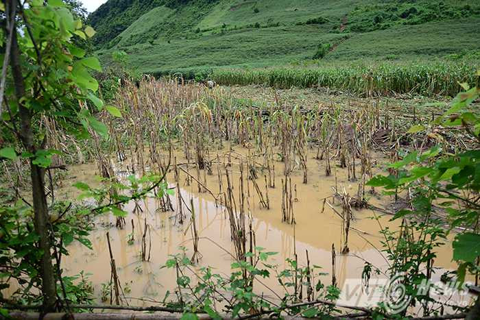 Người dân nơi đây cho biết, vào thời điểm sáng sớm ngày 1/8, nước lũ dâng nhanh, họ chỉ kịp tri hô cùng nhau chạy thoát thân lên đồi mà không kịp đem theo bất cứ đồ đạc nào.