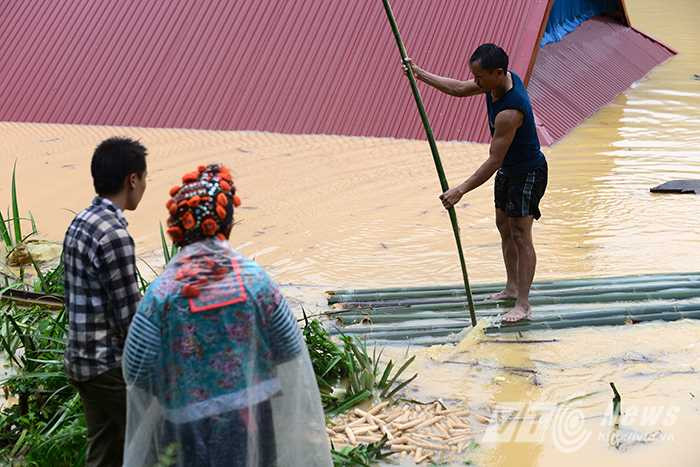 Tất cả đồ đạc của người dân hiện nay đều đã bị ngập sâu trong nước lũ, toàn bộ diện tích hoa màu đang đến ngày thu hoạch cũng hoàn toàn bị mất trắng.