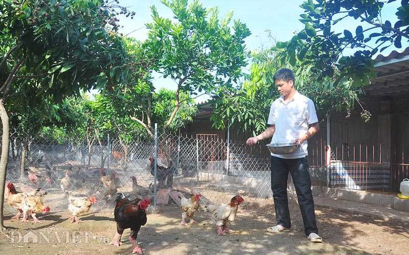 Toàn cảnh một trại luyện 