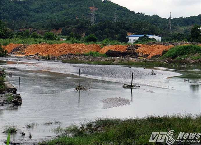 Nhiều bãi bồi được phủ dầy than bùn, khi nước thủy triều lên xuống sẽ kéo lượng bùn này xuống vịnh. 