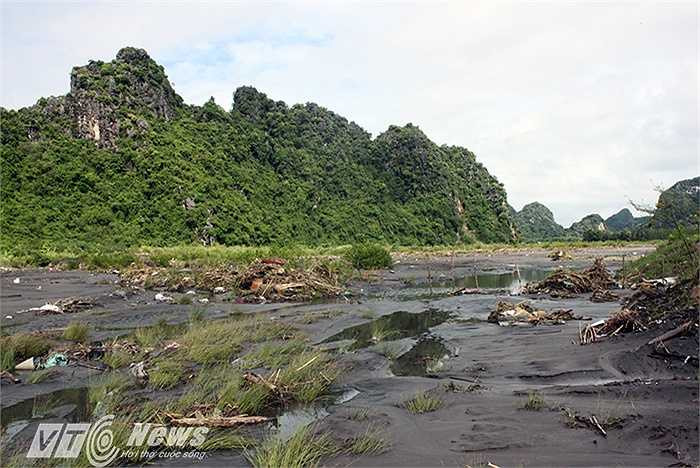 Lượng than theo dòng nước lũ cùng đổ ra vịnh.