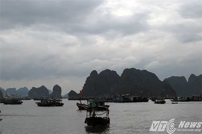 Sau trận lũ lịch sử với lượng nước mưa lớn kèm theo các loại hóa chất từ các khai trường khai thác, sản xuất than qua các kênh, mương dẫn nước xả trực tiếp xuống vịnh Hạ Long - Kỳ quan thiên nhiên thế giới, rất có thể gây ô nhiễm nghiêm trọng môi trường vịnh, rất cần sớm có sự vào cuộc của các cơ quan chức năng.