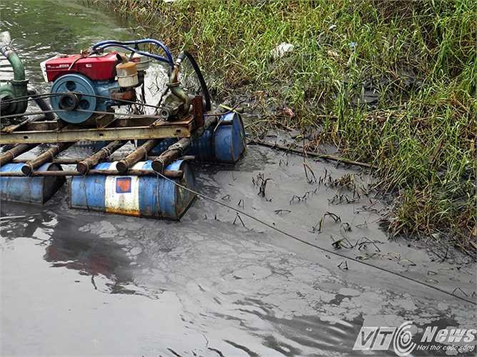 Những váng đen nổi lềnh bềnh trên mặt nước.