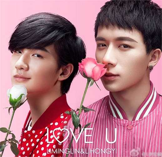 Dù vậy, chỉ sau đó ít lâu, Lý Hoành Nghị đã được nhiều người biết mặt chỉ tên nhờ xuất hiện trên show truyền hình.