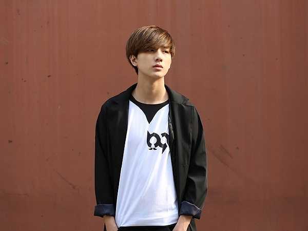 Ngoài chương trình thực tế X-Change, Lý Hoành Nghị từng tham gia đóng phim truyền hình, phim ngắn và phát hành đĩa đơn song ca cùng anh trai. Khi đóng phim, Lý Hoành Nghị đã cắt bỏ mái tóc dài lãng tử của mình.