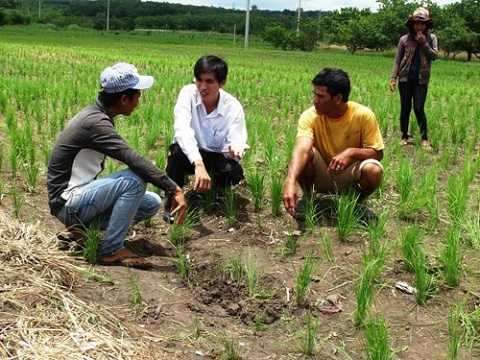 Hiện trường nơi xảy ra vụ sét đánh