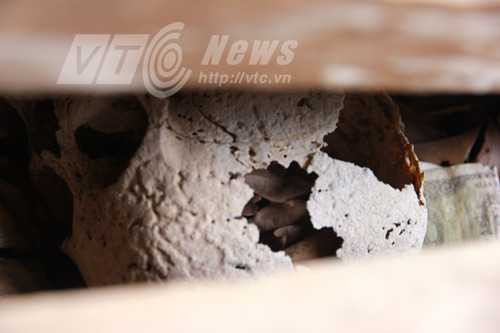 Xương sọ trong một quan tài thân cây