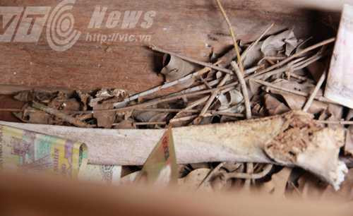 Xương ống chân rất lớn trong một quan tài