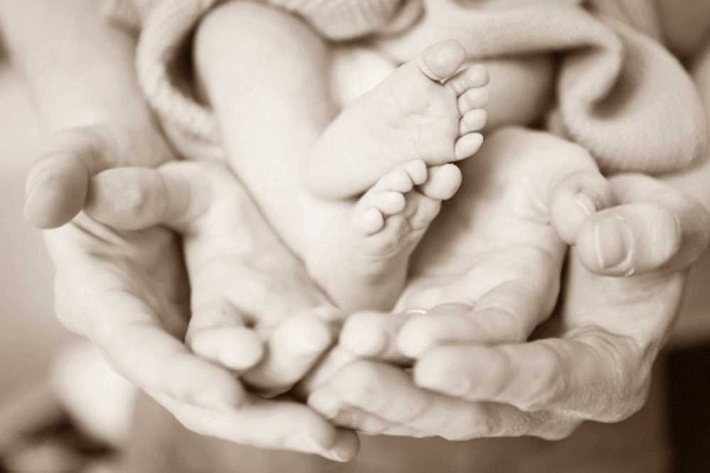 yêu thương bố mẹ