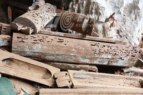 Quan tài được làm bằng gỗ đinh thối Quan tài được làm bằng gỗ đinh thối