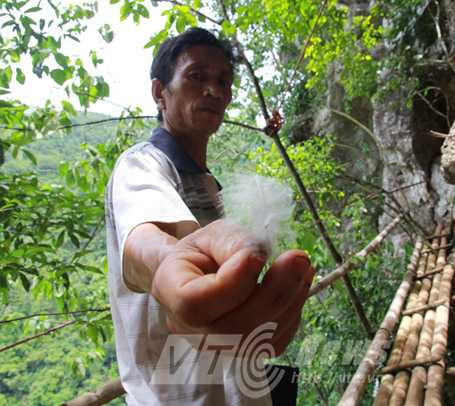 Lông đại bàng khổng lồ Lông đại bàng khổng lồ