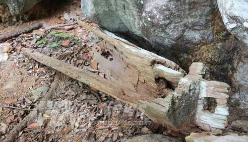 Nhiều quan tài phơi mưa nắng đã mục Nhiều quan tài phơi mưa nắng đã mục